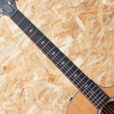 Taylor 314ce J-Spec_6