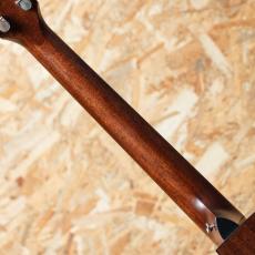 Taylor 314ce J-Spec_7