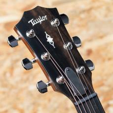Taylor 314ce J-Spec_8