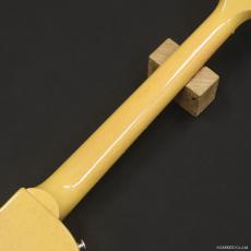 Gibson Les Paul Junior, TV Yellow_7