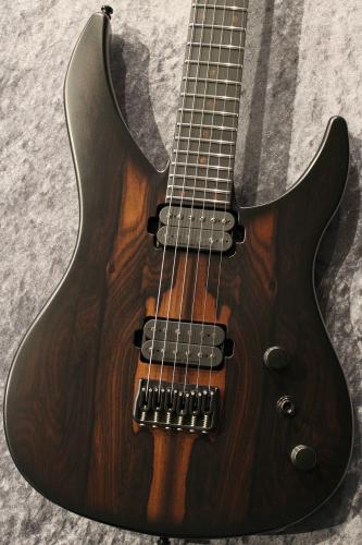 RUF Guitars 【セール】Professor Series Schr?dinger 6 Ziricote #SCH2024041606 【オールカーボン】【3.61kg】