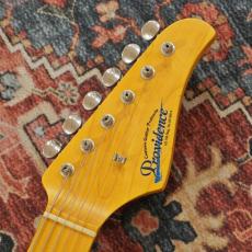 Providence dT-206MN Limited Run Butter Scotch Blonde 【中古品】_6