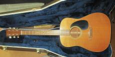 Martin D-18_15