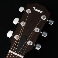 Taylor 【チョイ傷特価!】 114ce 【48回無金利】【トリファイドスプルース】【細目ネック】【C-Class】【マルコとマルオ開催中!!店頭でさらに10%OFF】【町田店】_3