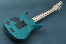 Ibanez HZK1 "HAZUKI Signature" #F2616090 【NEMOPHILA / KOIAI】_3