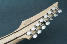 Ibanez HZK1 "HAZUKI Signature" #F2616090 【NEMOPHILA / KOIAI】_10