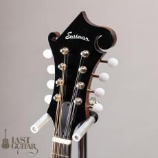 Eastman MD515CC/TV_6