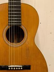 Martin 1870年~1898年製　0-28 ハカランダ　【無金利分割OK】【送料込み】_3