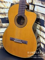 Takamine タカミネ FC132SC 【エレガット】【日本総本店2F 在庫品】_2