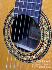 Takamine タカミネ FC132SC 【エレガット】【日本総本店2F 在庫品】_3