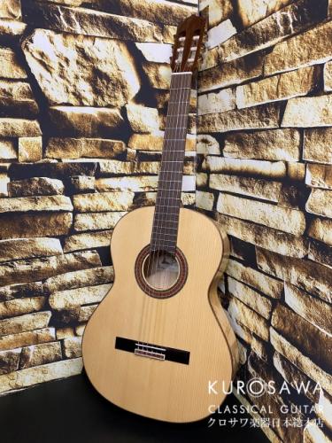 Paco Castillo パコ・カスティージョ 213F 松・シカモア 【日本総本店2F 在庫品】