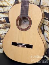 Paco Castillo パコ・カスティージョ 213F 松・シカモア 【日本総本店2F 在庫品】_2