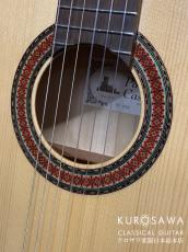 Paco Castillo パコ・カスティージョ 213F 松・シカモア 【日本総本店2F 在庫品】_3