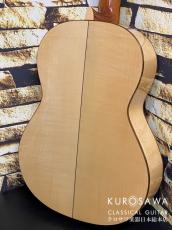 Paco Castillo パコ・カスティージョ 213F 松・シカモア 【日本総本店2F 在庫品】_5