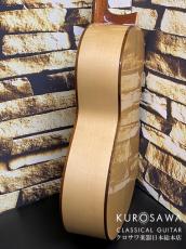 Paco Castillo パコ・カスティージョ 213F 松・シカモア 【日本総本店2F 在庫品】_6