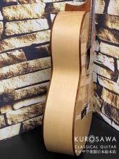 Paco Castillo パコ・カスティージョ 213F 松・シカモア 【日本総本店2F 在庫品】_7