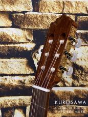 Paco Castillo パコ・カスティージョ 213F 松・シカモア 【日本総本店2F 在庫品】_8