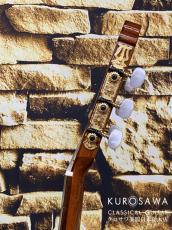 Paco Castillo パコ・カスティージョ 213F 松・シカモア 【日本総本店2F 在庫品】_9