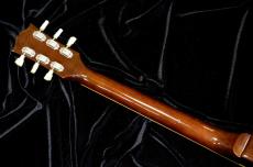 FERNANDES FLG-90_5