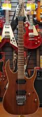 Ibanez RG721_2