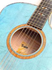Taylor 【1本限定】CTM GA Koi Blue【現地選定材使用のカスタムモデル】【極杢ベアクロー×メイプル】_4