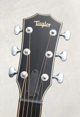 Taylor 【1本限定】CTM GA Koi Blue【現地選定材使用のカスタムモデル】【極杢ベアクロー×メイプル】_8