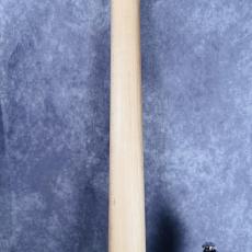 Suhr Modern Pro_5