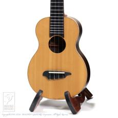 TODA Guitars VC-STD