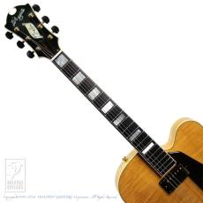 D'Aquisto DQ-JZ Jazz Line_6