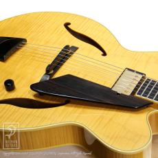 D'Aquisto DQ-JZ Jazz Line_13