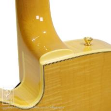 D'Aquisto DQ-JZ Jazz Line_14