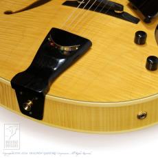 D'Aquisto DQ-JZ Jazz Line_15