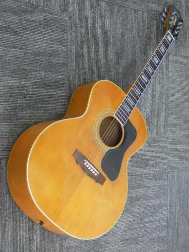 Guild F-40 BLD