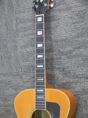 Guild F-40 BLD_10