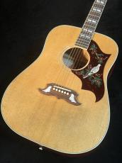 Gibson 【NEW】Custom Shop Murphy Lab Acoustic Collection 1963 Dove Light Aged Dark Natural #21155067 