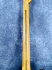 Fender 1973 Telecaster Custom_8