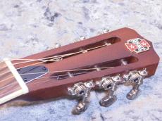 Republic Guitars Parlor Size Resolian / Diamond cone cover_5