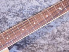 Republic Guitars Parlor Size Resolian / Diamond cone cover_6