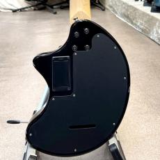 FERNANDES ZO-3T_2