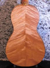 Republic Guitars Parlor Size Miniolian Sunburst / Diamond cone cover_4