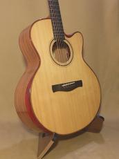 AYERS SJ04-CX 2.0 ESN JP Custom_2