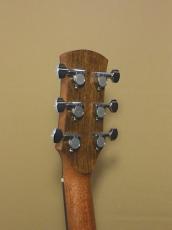 AYERS SJ04-CX 2.0 ESN JP Custom_7
