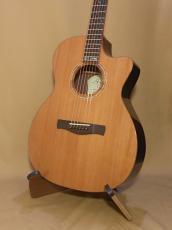 AYERS OM07-C 1996 JP Custom_2