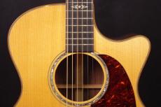 Martin GPCPA1 Plus_8