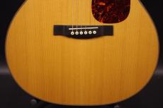 Martin GPCPA1 Plus_9