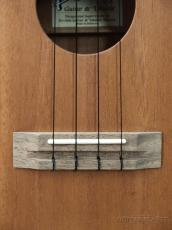 Pono MT-K Tenor 【テナー/マホガニー】【単板モデル】【18回金利0%対象】【送料込】_5