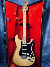 Fender 1980 Stratocaster_10