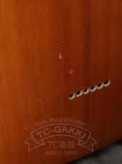 Fujigen (FGN) NTL103-NT_16
