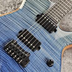 Hinnant Guitars Revival 6【極杢フレイムメイプルトップ】_3