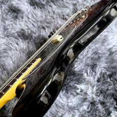 Fender American Professional Classic Mustang Bass, Rosewood, 3-Color Sunburst 【特価】_9